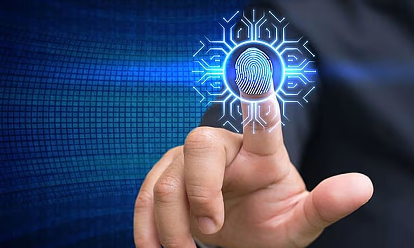 The Role of Biometrics in Security