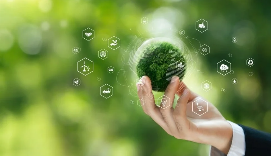 The Role of AI in Sustainability